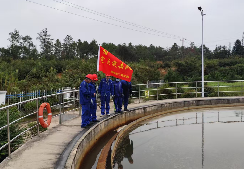 ������������-��������w66