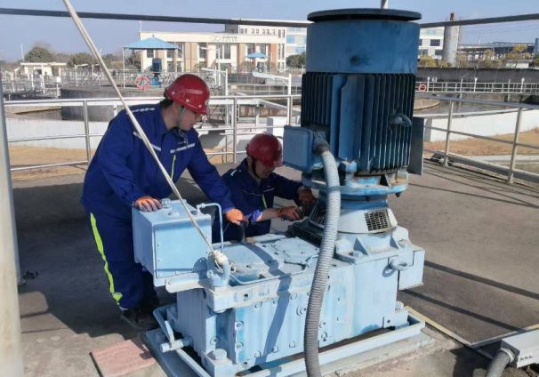 ������������-��������w66