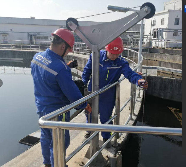 ������������-��������w66