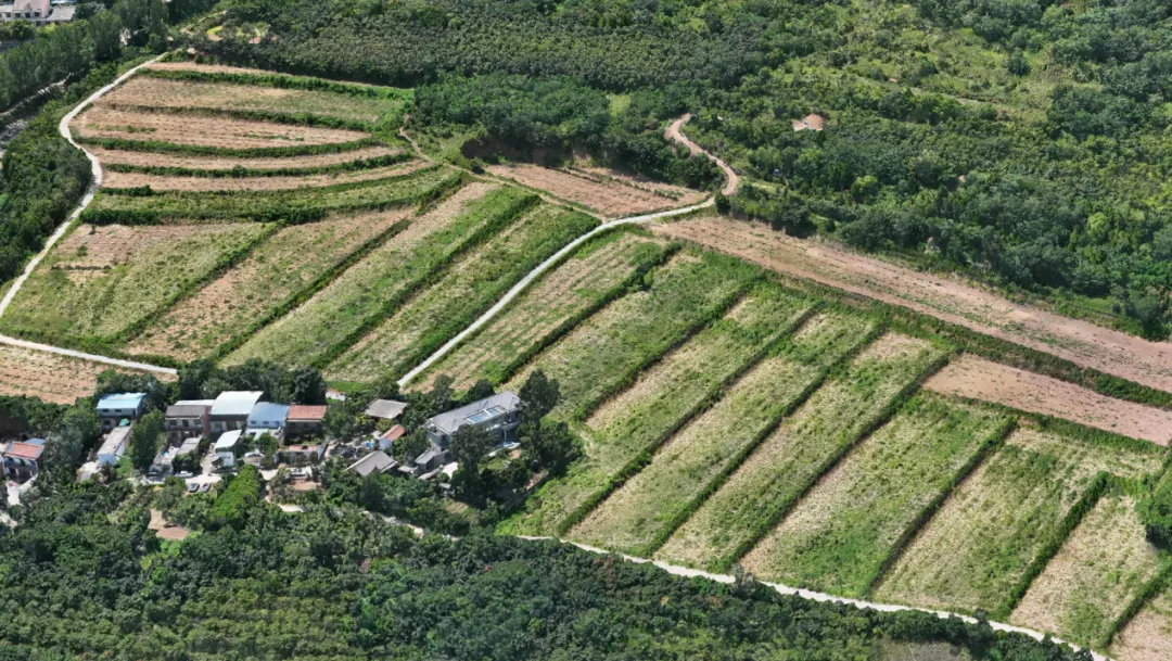 利来国际老牌-利来国际w66