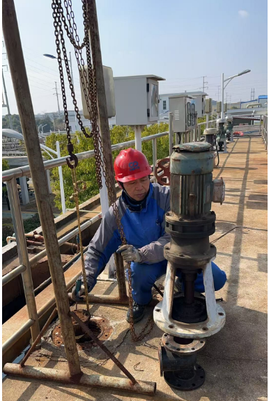 ������������-��������w66