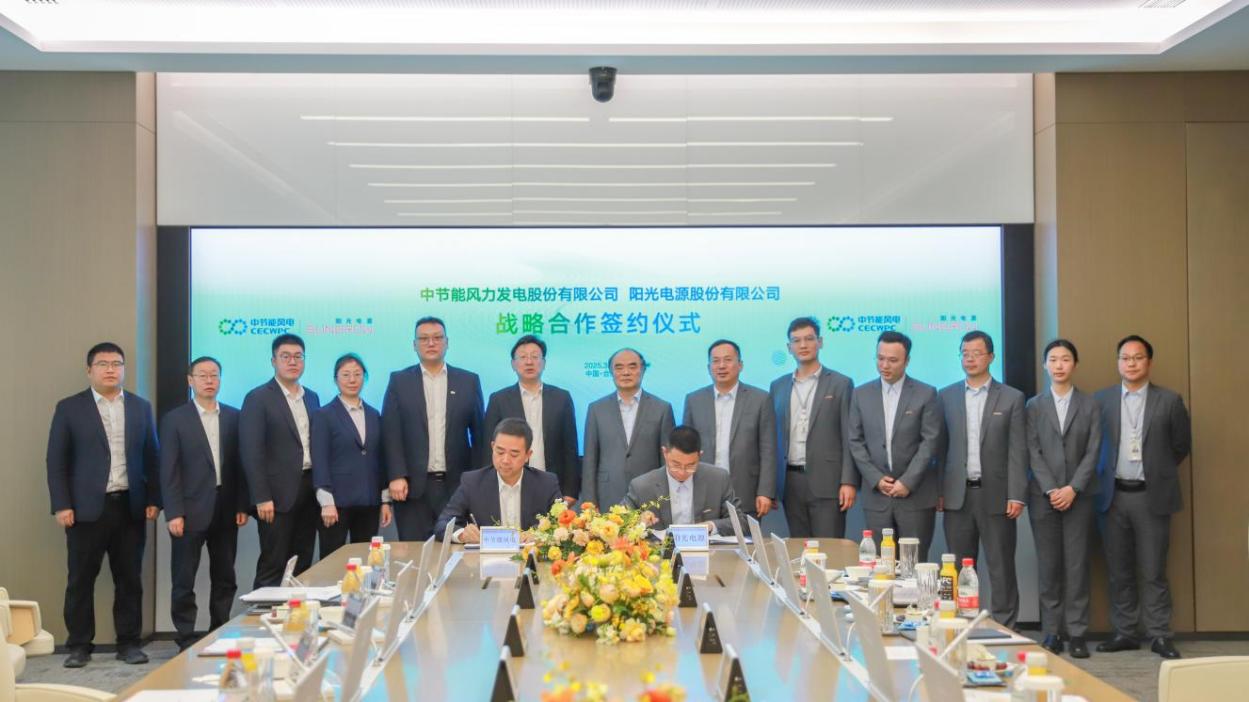 ������������-��������w66