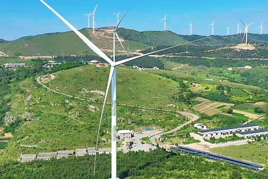 ������������-��������w66