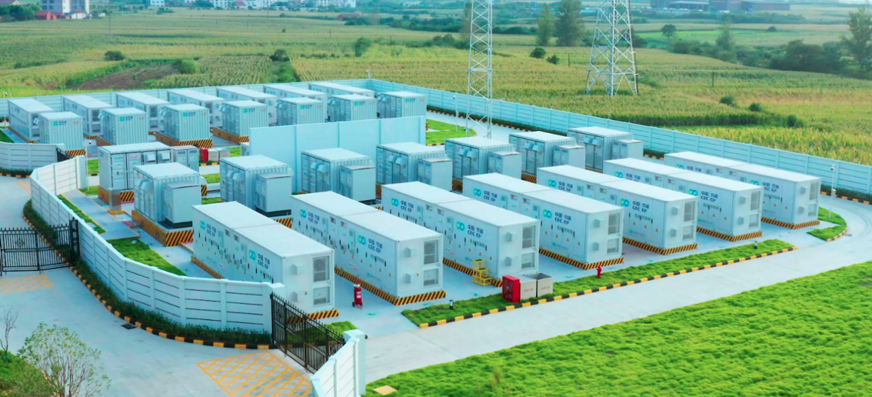 ������������-��������w66