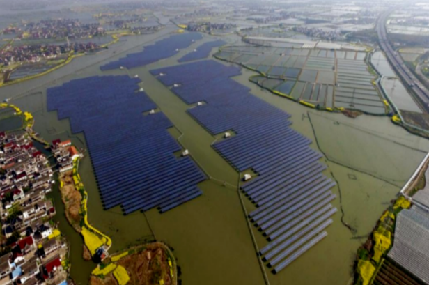 ������������-��������w66