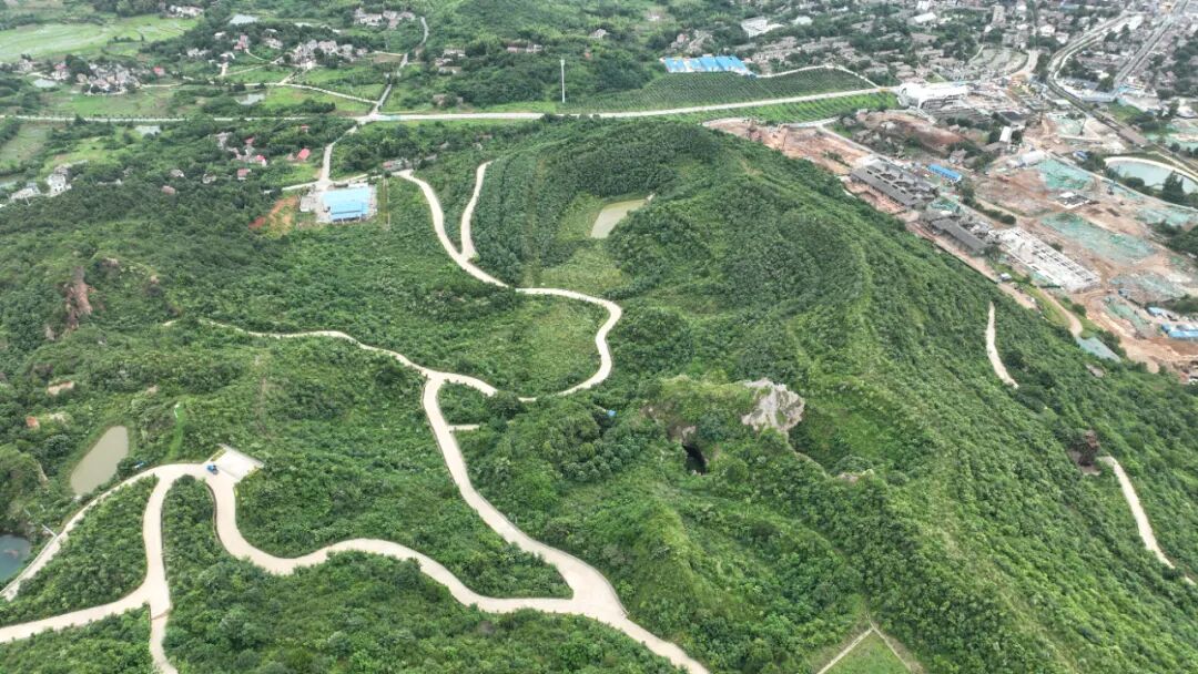 ������������-��������w66