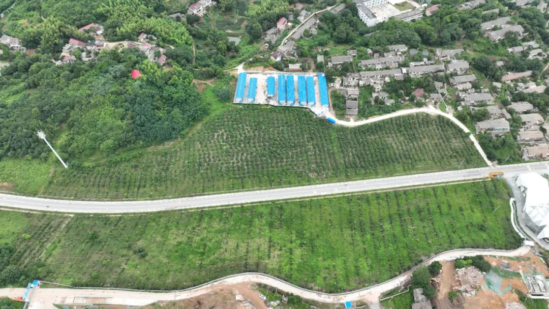 ������������-��������w66