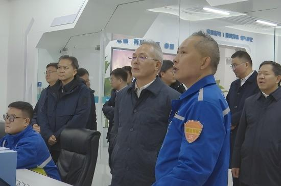 ������������-��������w66