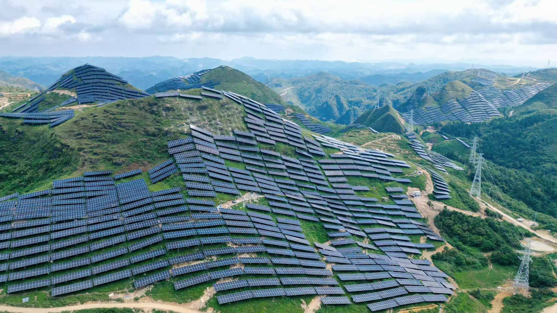 ������������-��������w66