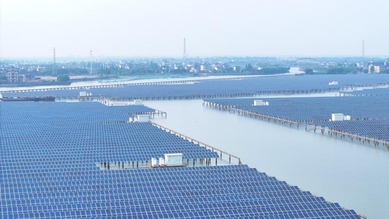 ������������-��������w66