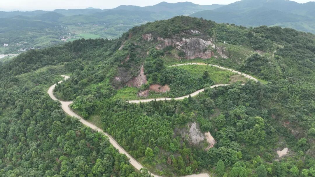 ������������-��������w66