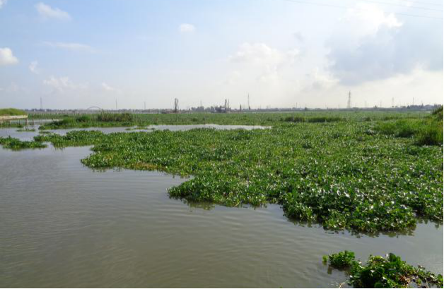 ������������-��������w66