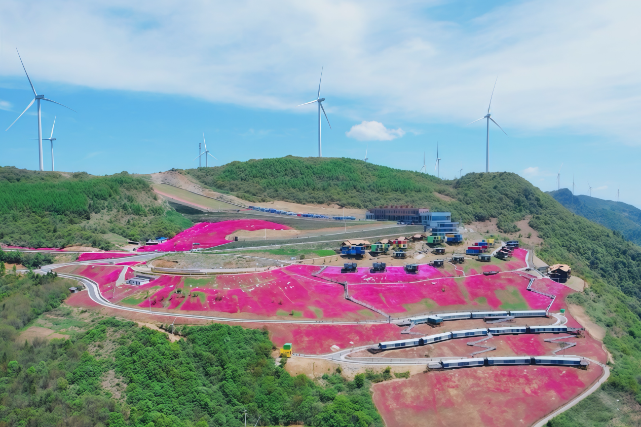 ������������-��������w66