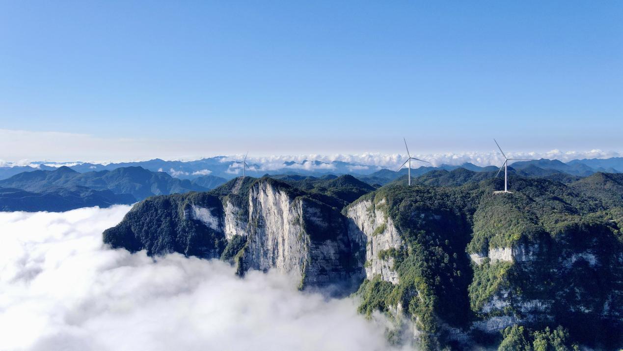 ������������-��������w66