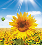 利来国际老牌-利来国际w66