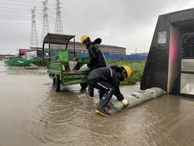 ������������-��������w66