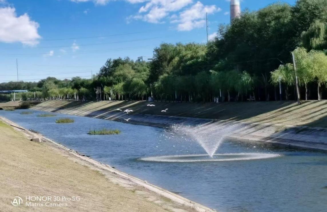 ������������-��������w66