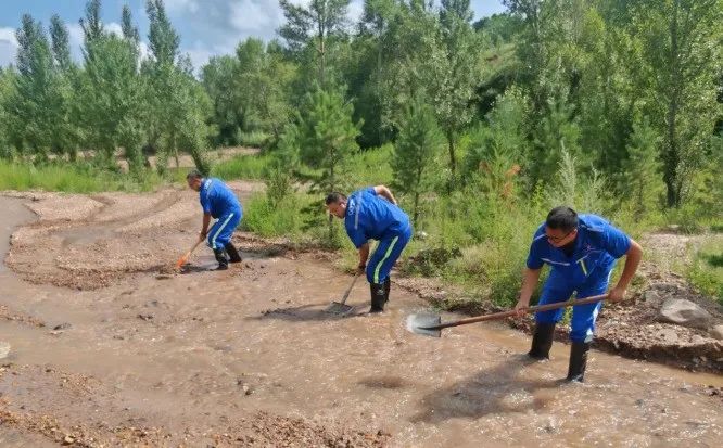 ������������-��������w66