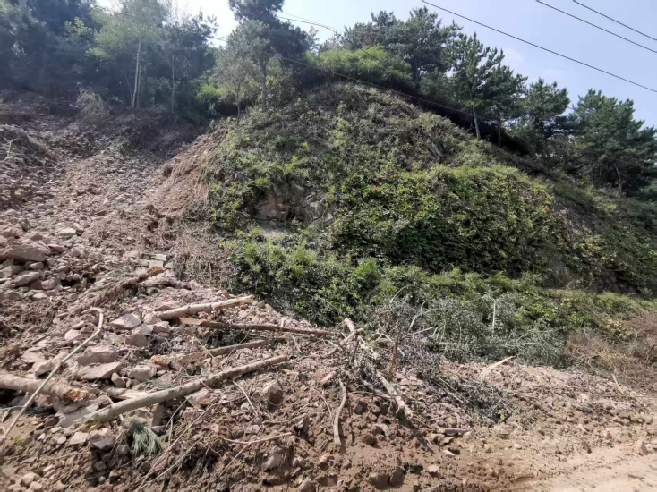 ������������-��������w66