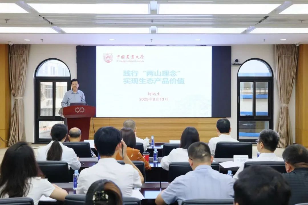 ������������-��������w66