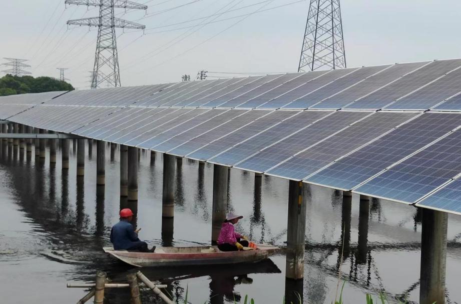 ������������-��������w66