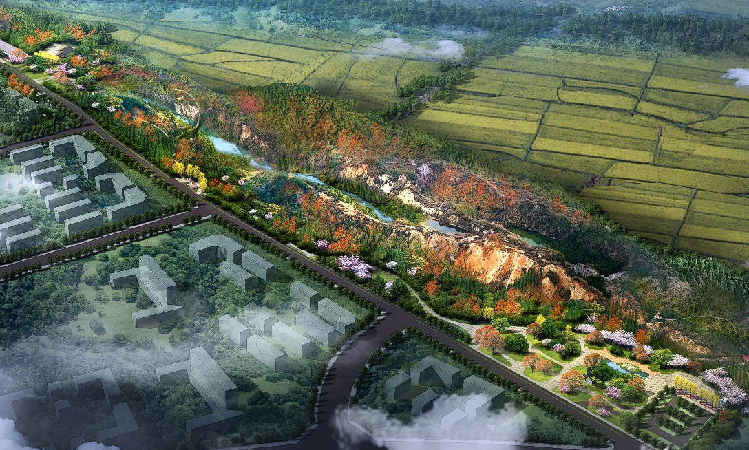 ������������-��������w66