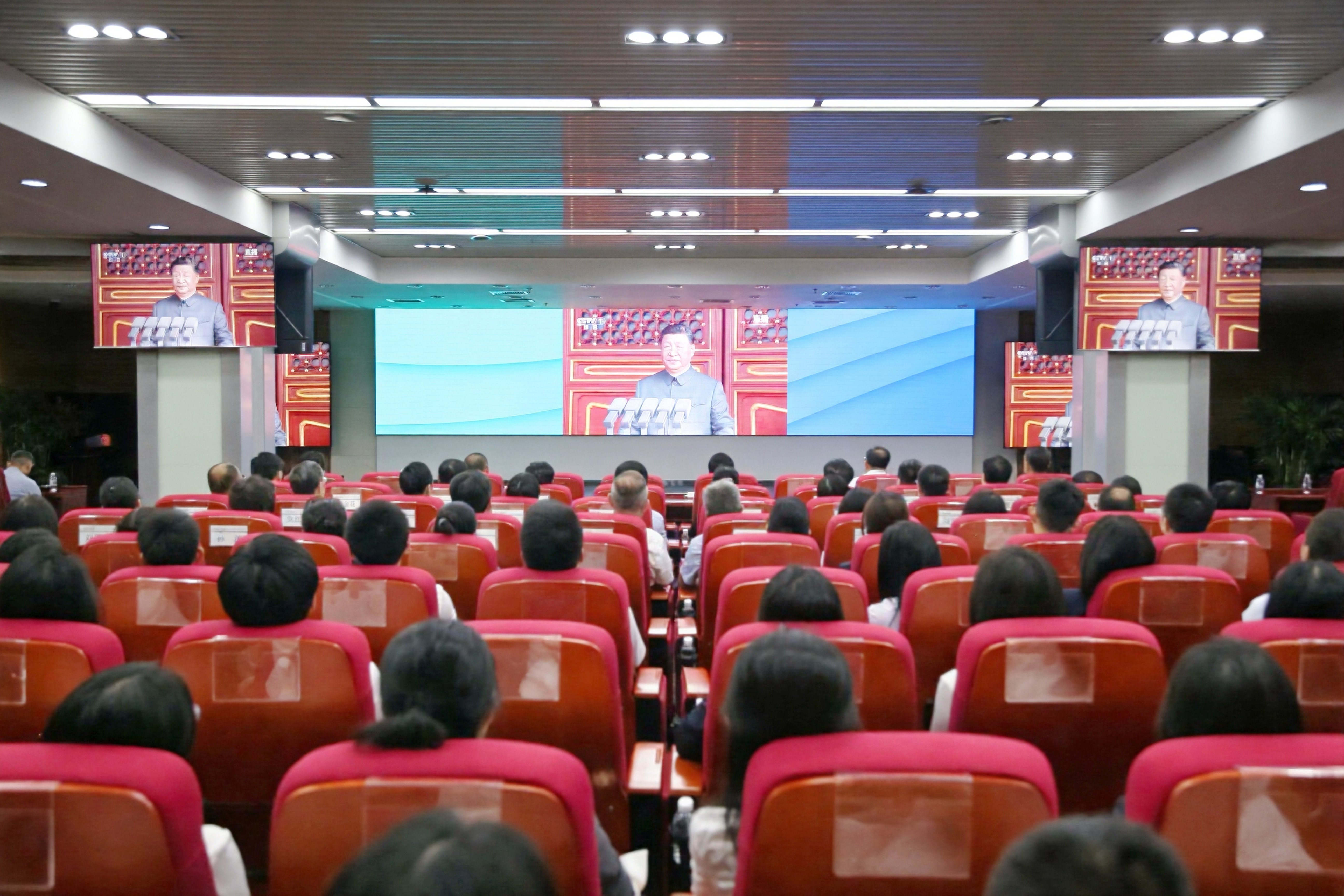 ������������-��������w66