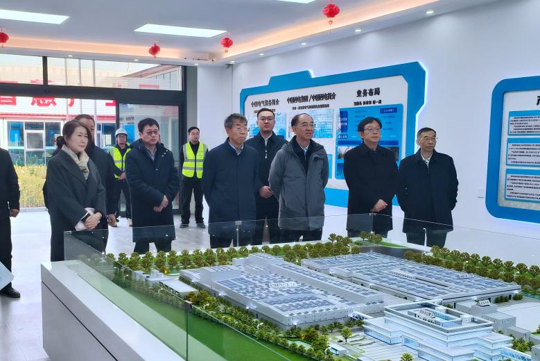 ������������-��������w66