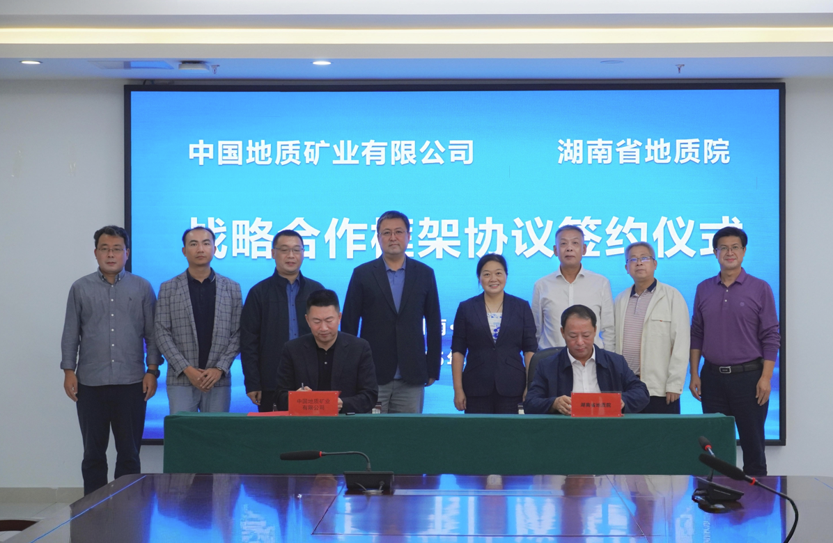 ������������-��������w66