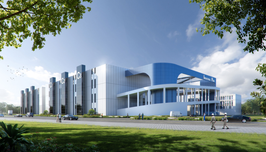 ������������-��������w66