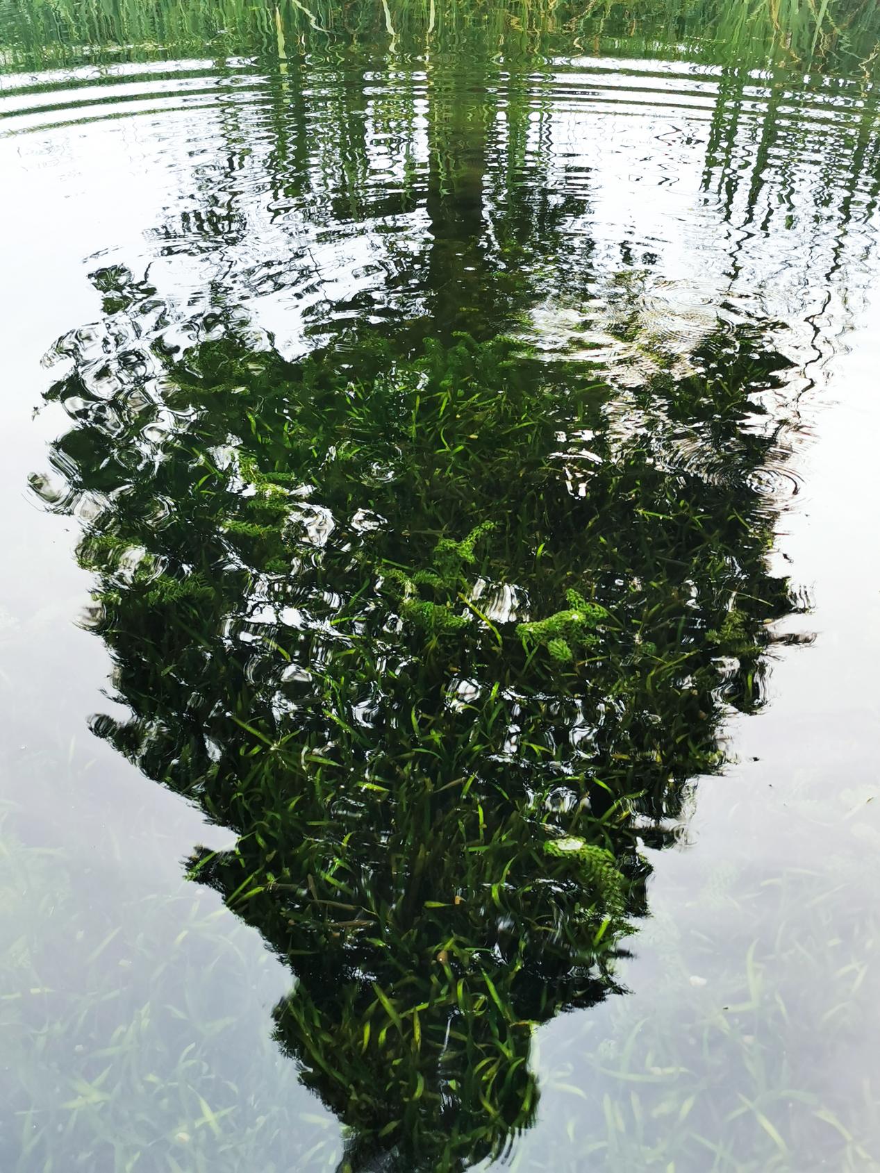 ÀûÀ´¹ú¼ÊÀÏÅÆ-ÀûÀ´¹ú¼Êw66