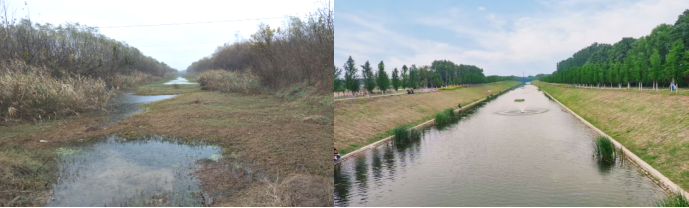 ������������-��������w66