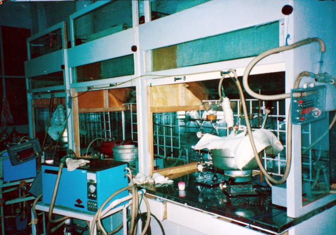 ������������-��������w66