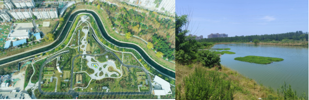 ������������-��������w66