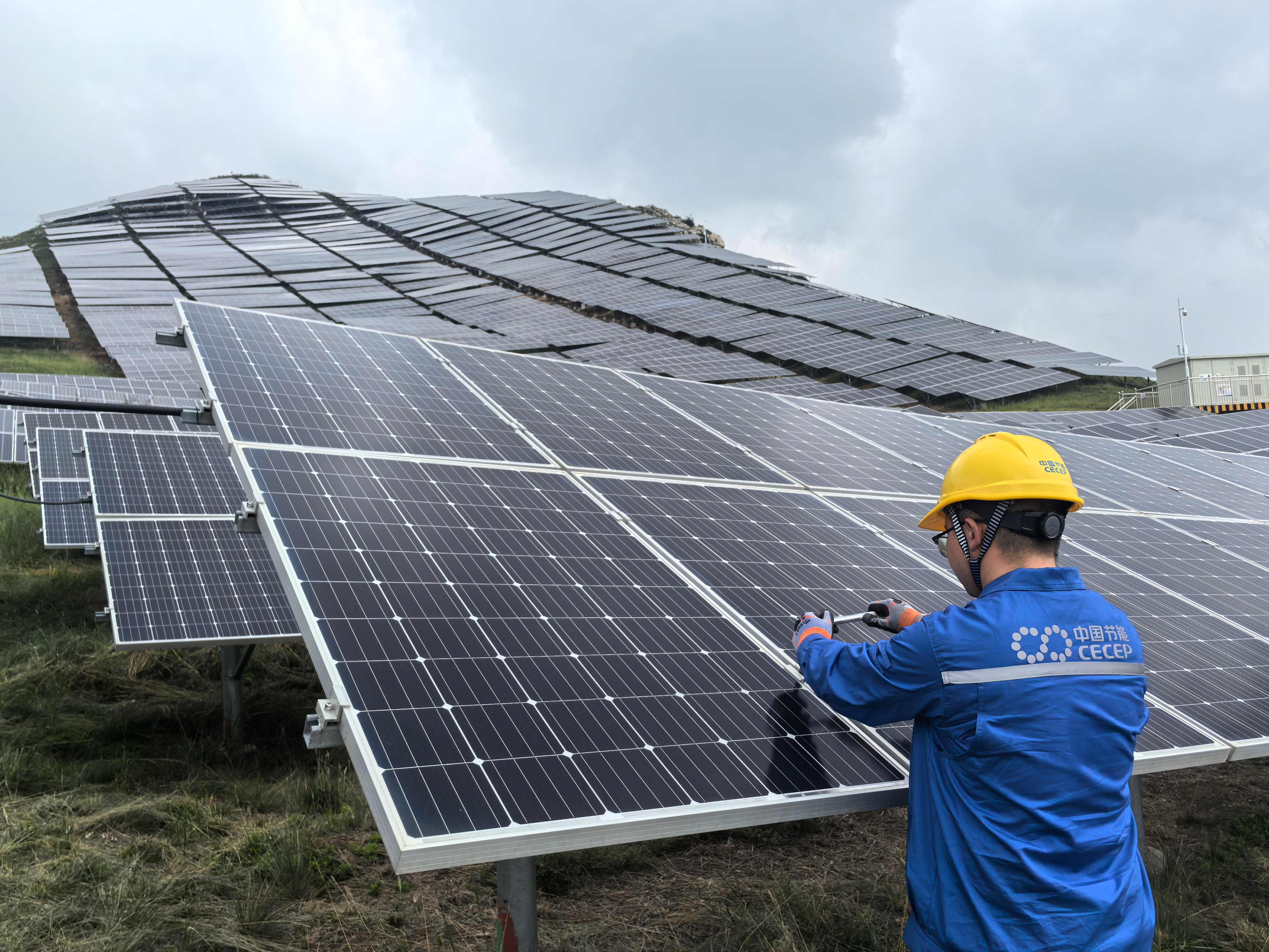 ������������-��������w66