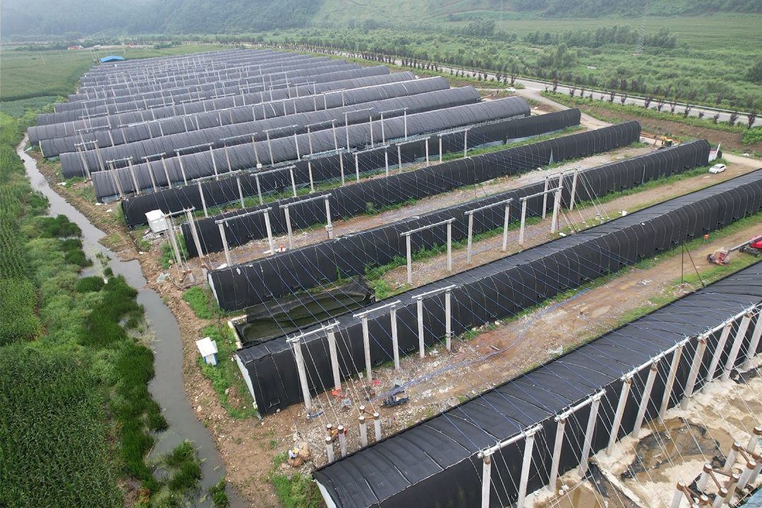 利来国际老牌-利来国际w66